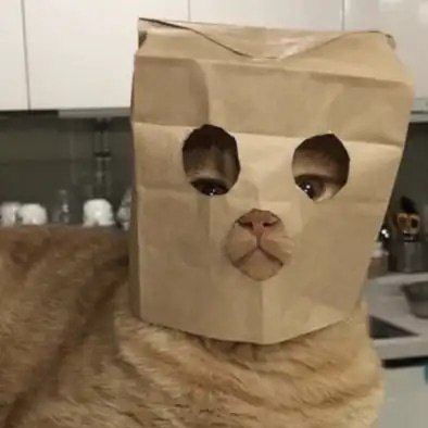 BAGCAT