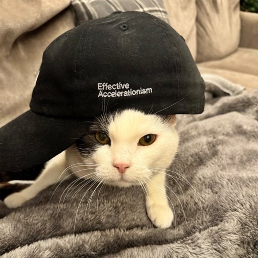 e/cat