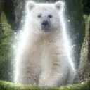 Kermode