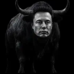 ELON