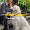 The First Dog Of New Jersey logo