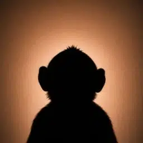 HIM