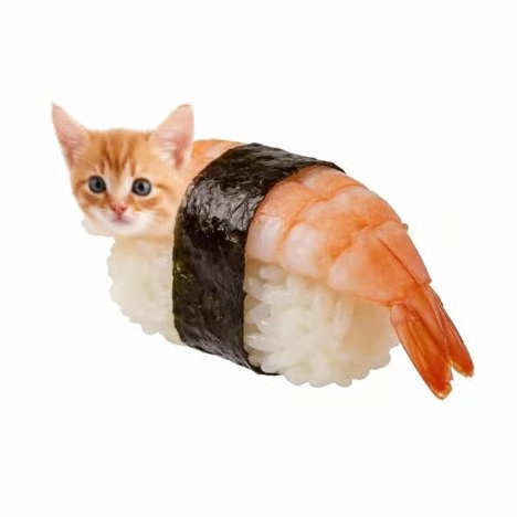 Sushi Cat logo