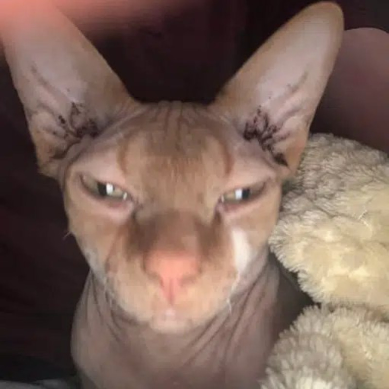OLIVER